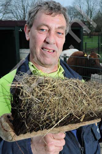 Bild zu Cees Van Dijk